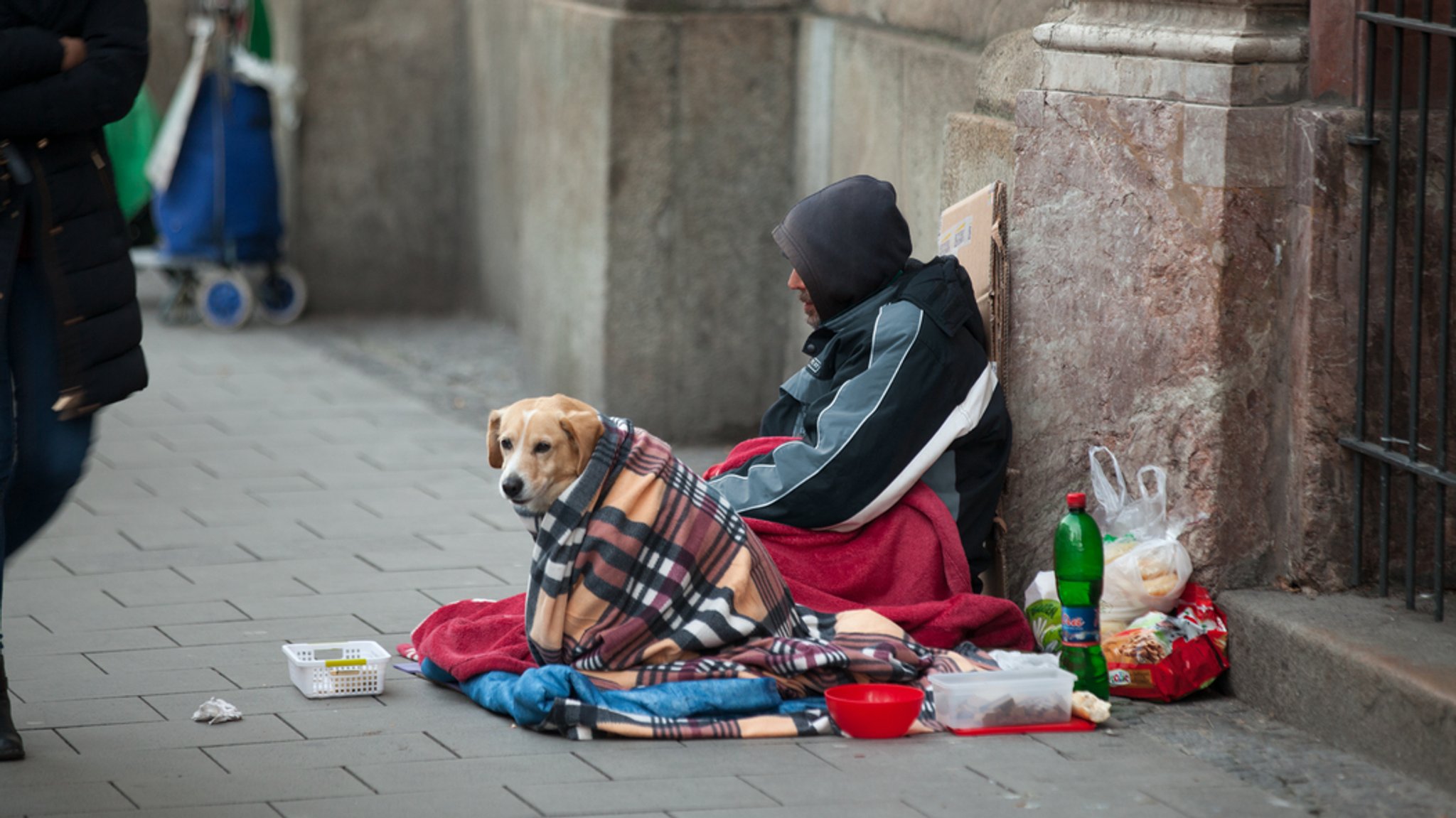 Eine obdachlose Person sitzt mit ihrem Hund am Kircheneingang in München im Winter.