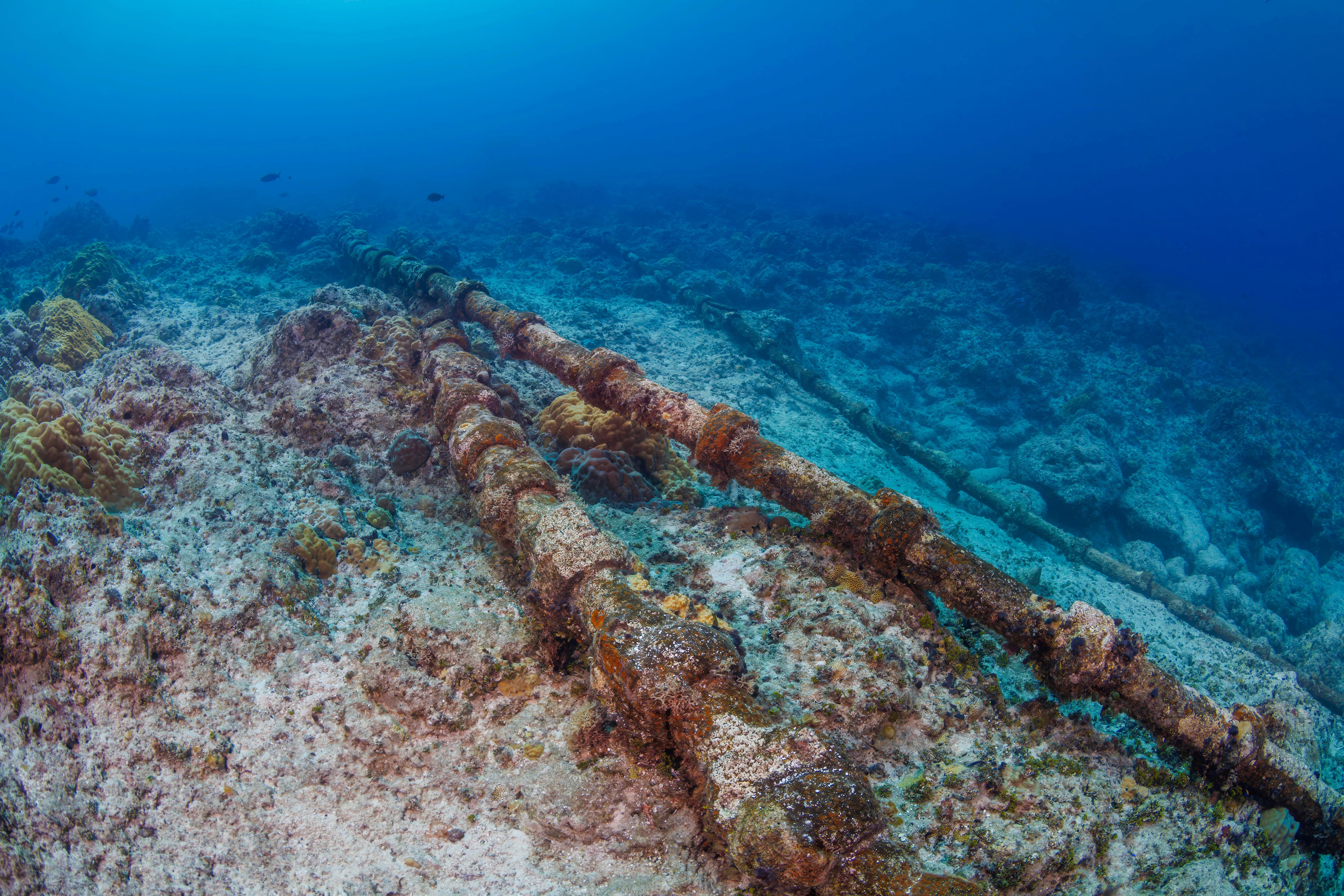 Die transpazifischen Unterwasser-Kommunikationskabel auf dem Meeresboden vor der Insel Guam, Mikronesien