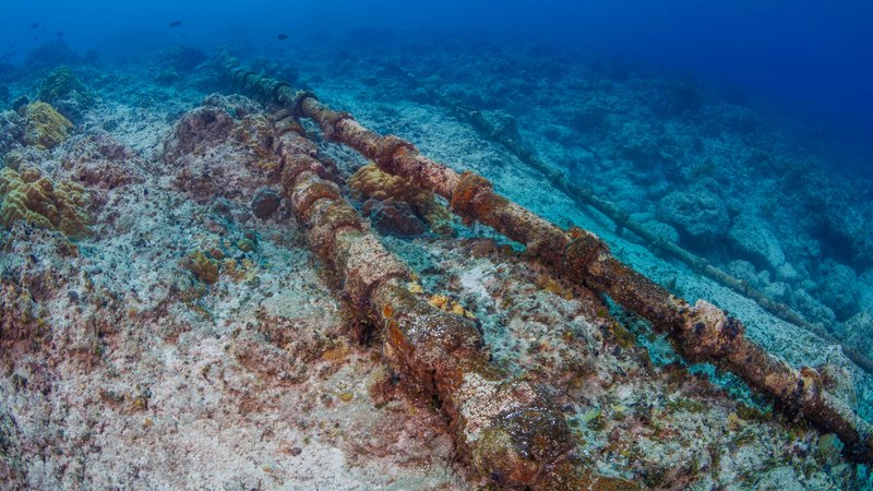 Die transpazifischen Unterwasser-Kommunikationskabel auf dem Meeresboden vor der Insel Guam, Mikronesien | Bild: picture alliance / Design Pics | Dave Fleetham Die transpazifischen Unterwasser-Kommunikationskabel auf dem Meeresboden vor der Insel Guam, Mikronesien