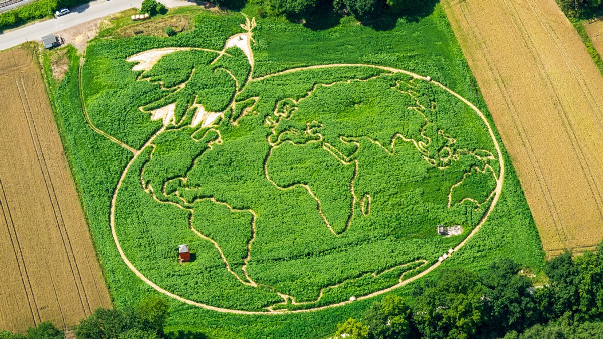 Utting: Friedenstaube und Globus aus 350.000 Pflanzen angelegt