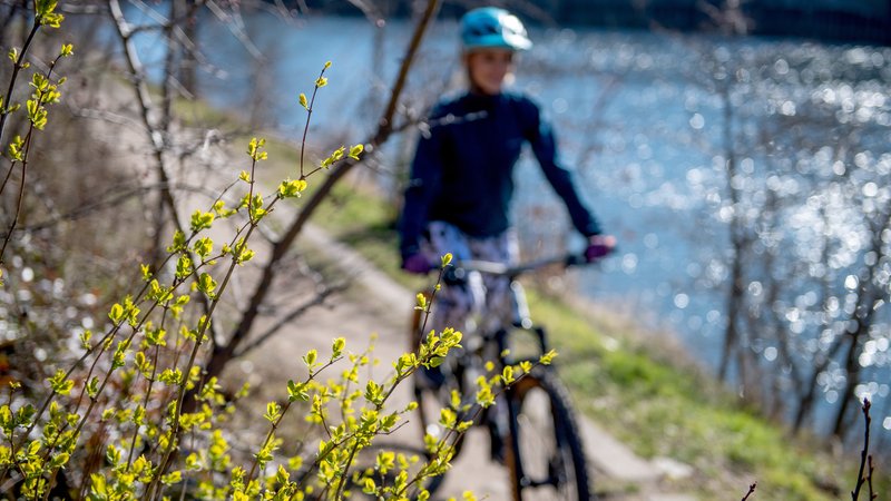 (Symbolbild) Eine Radfahrerin an einem Kanal. | Bild: picture alliance / dpa-tmn | Zacharie Scheurer (Symbolbild) Eine Radfahrerin an einem Kanal.
