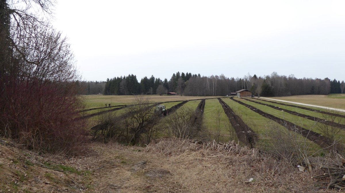Umweltfrevel: Geschützte Moorwiesen im Chiemgau entwässert