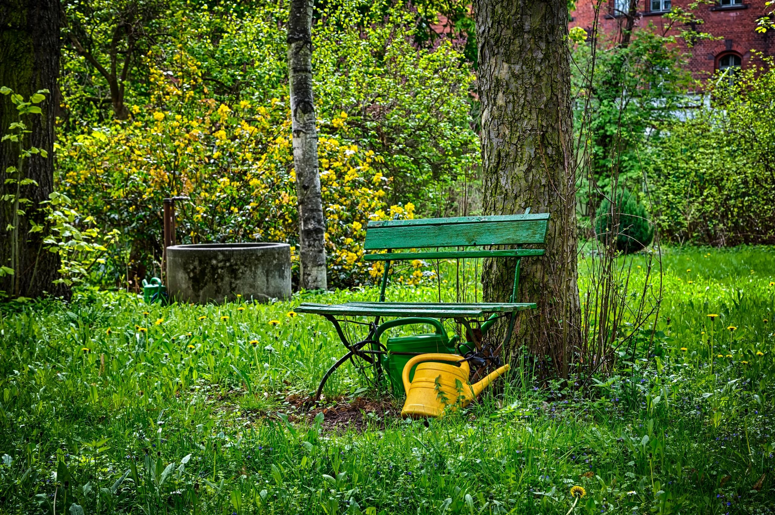 Ein Garten im Sommer mit grünen Pflanzen, einer Bank und einer Gieskanne