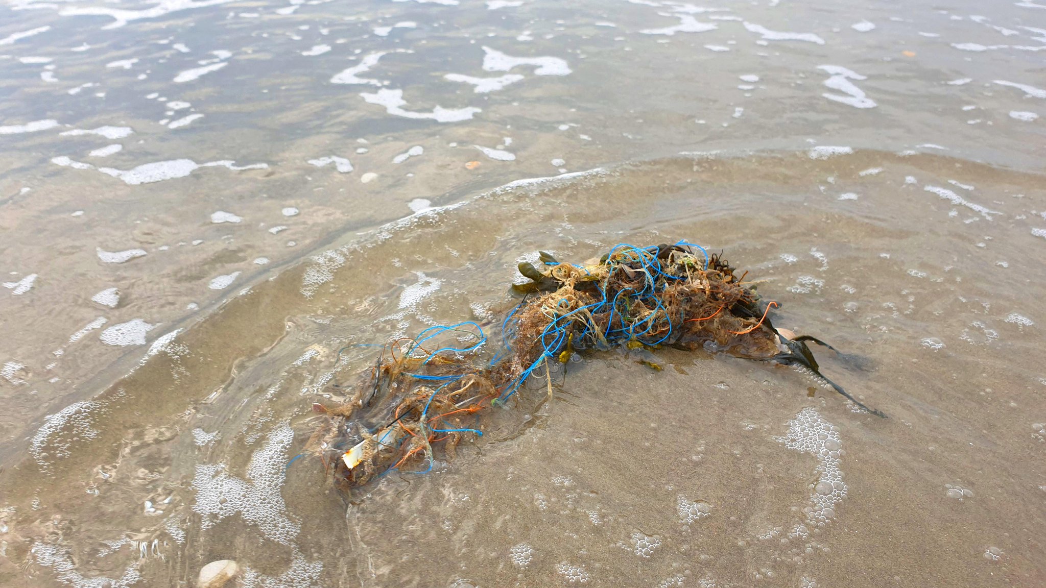 Mikroplastik mit Magneten aus dem Wasser ziehen