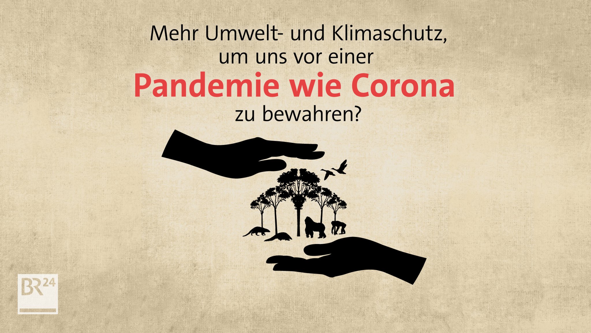 #fragBR24💡 Inwieweit ist Umweltschutz gut für die Gesundheit?