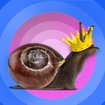 (10/12) Schnecken – Nico, der Schneckenkönig? | Bild: BR stock.adobe.comphotophonie