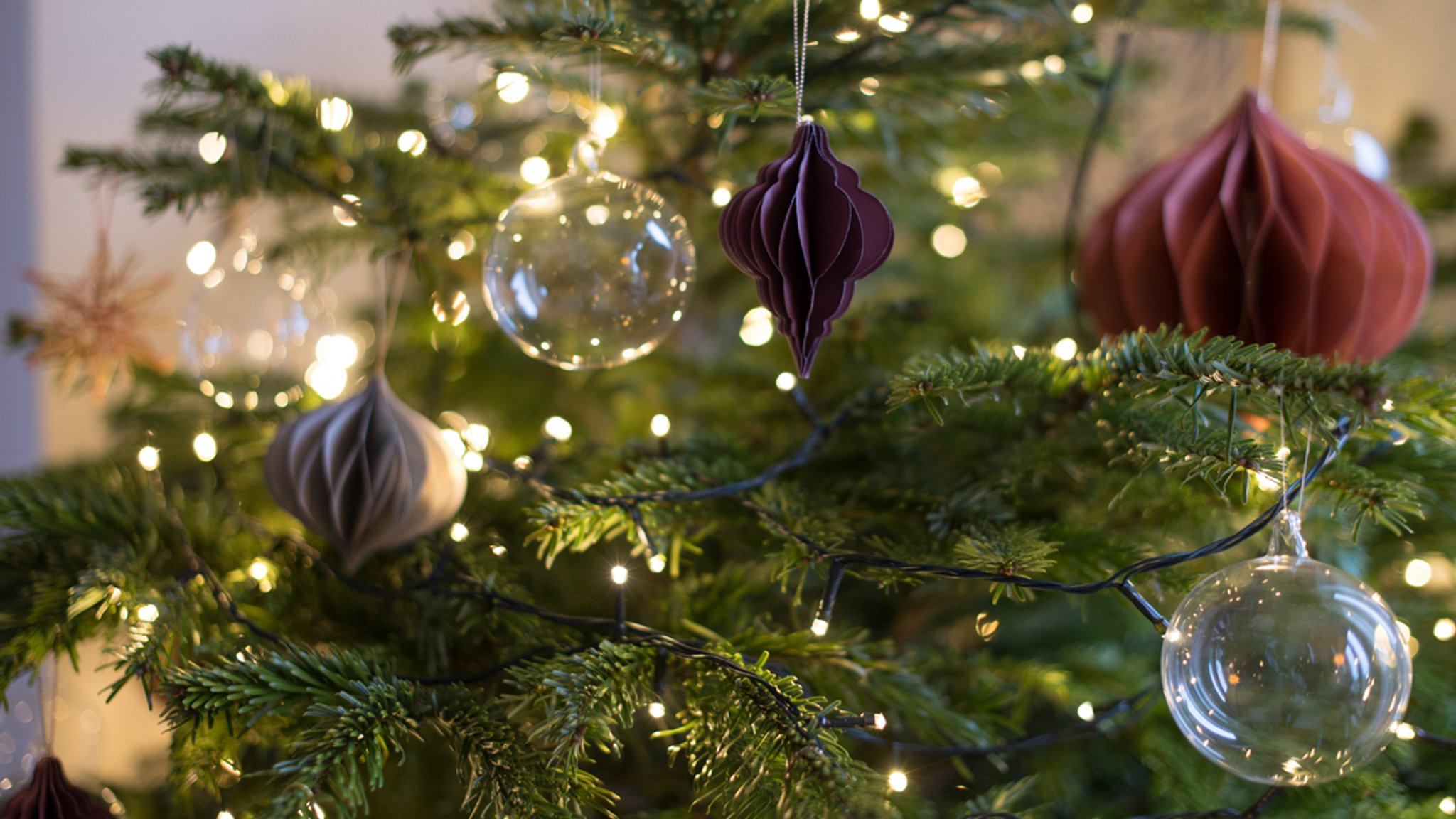 Ein geschmückter Weihnachtsbaum.