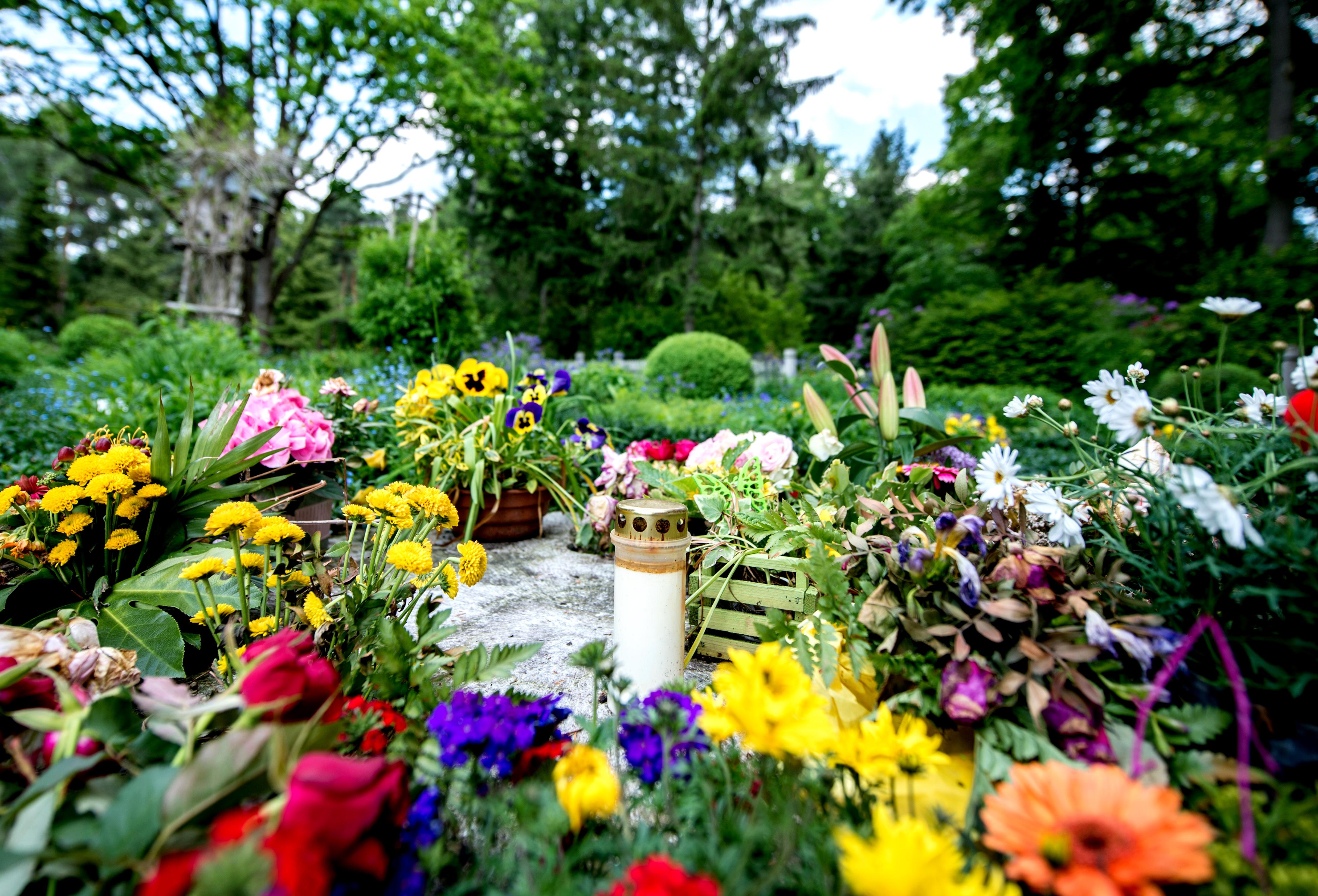 Blumen auf einem Friedhof (Symbolbild)