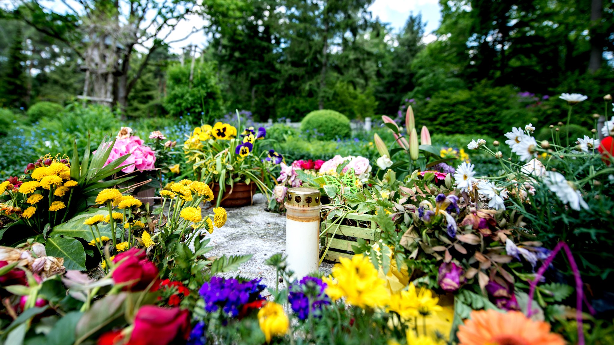 Blumen auf einem Friedhof (Symbolbild)