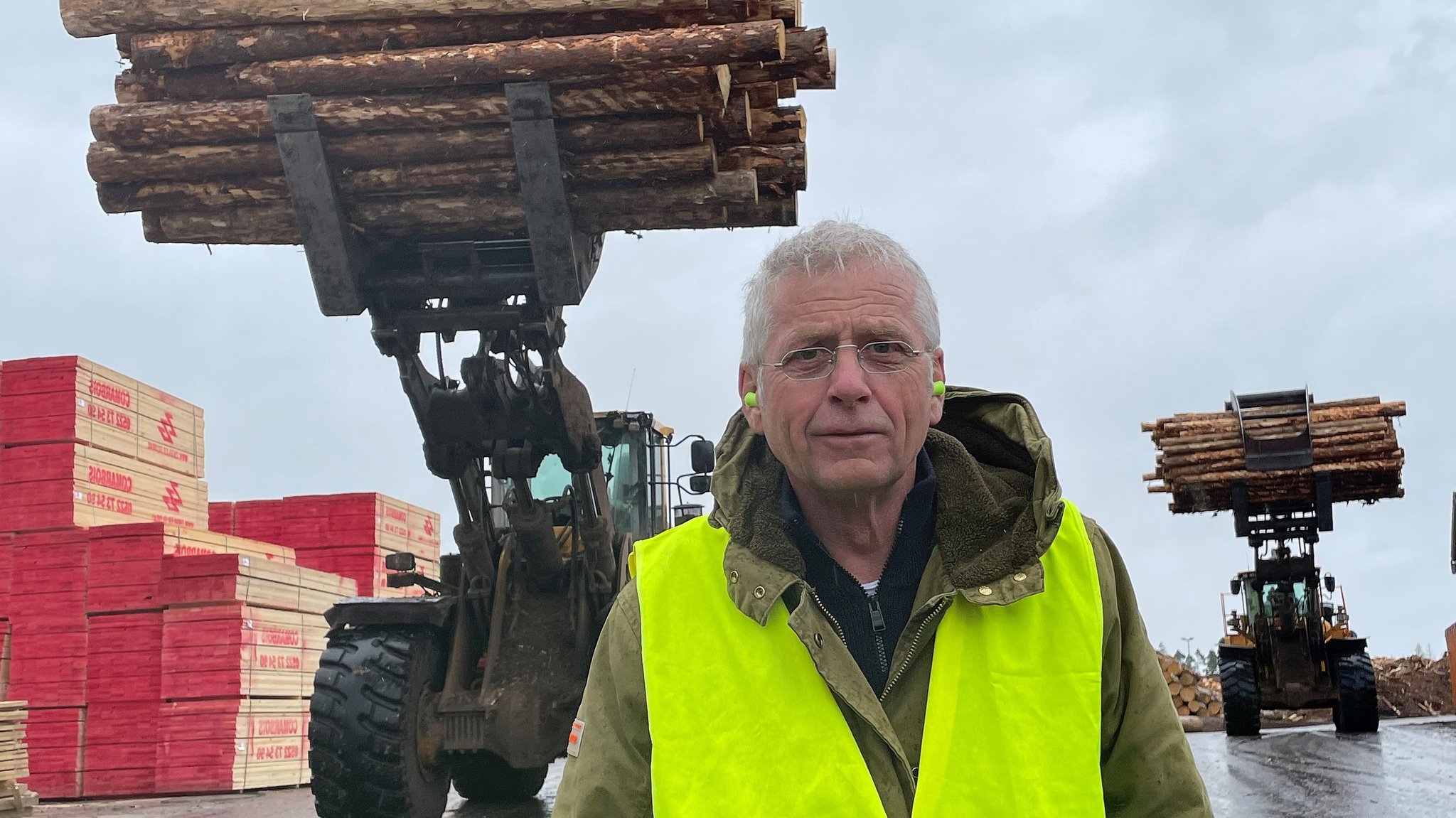 Holz-Boom trotz Baumsterben: Bayerns Wälder am Anschlag