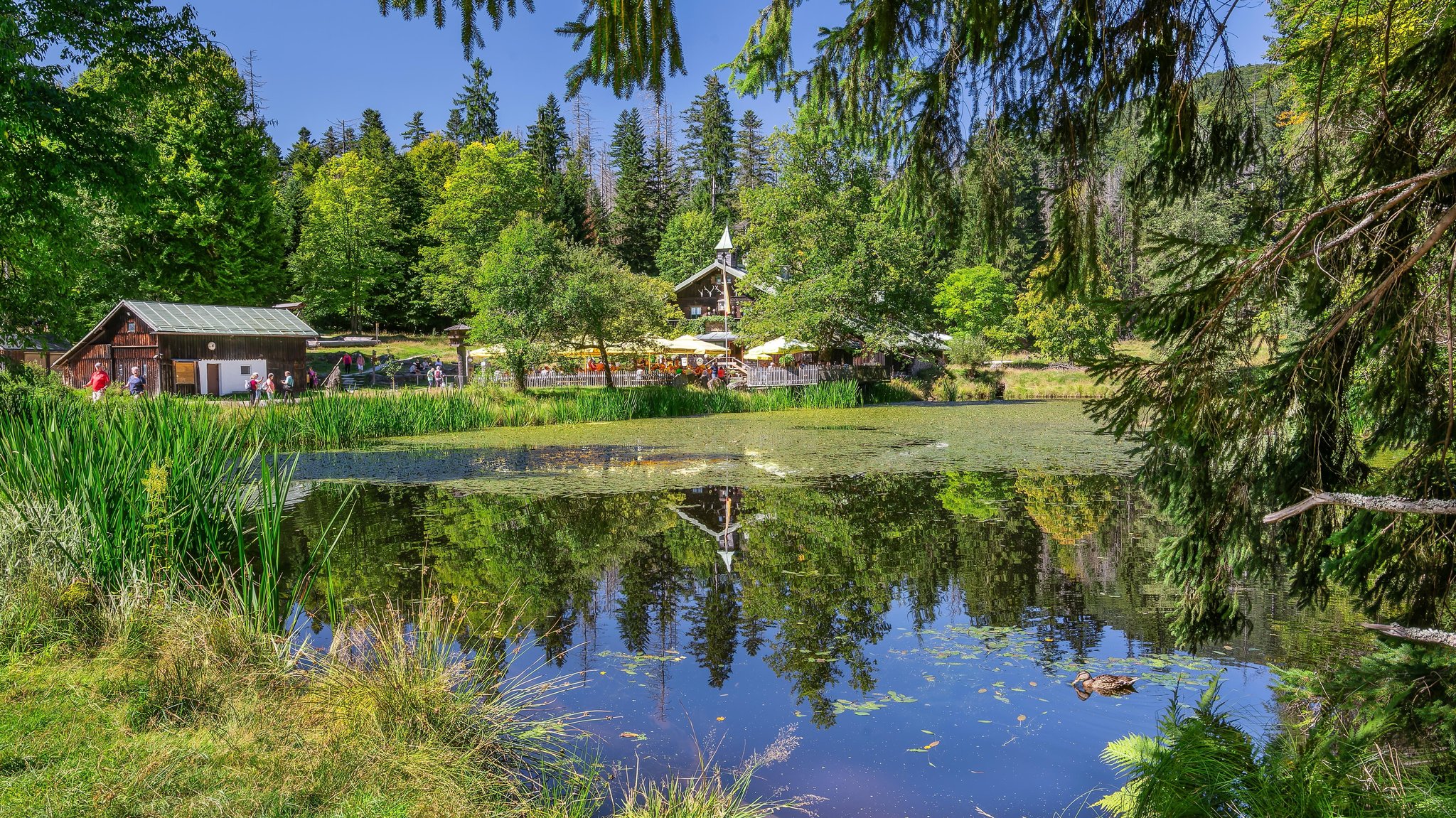 Schwellteich mit dem historischen Gasthaus Trifterklause am Nationalpark Bayerischer Wald bei Bayerisch-Eisenstein.