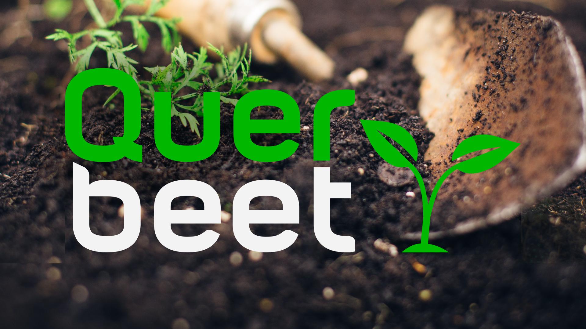 Queerbeet Queerbeet