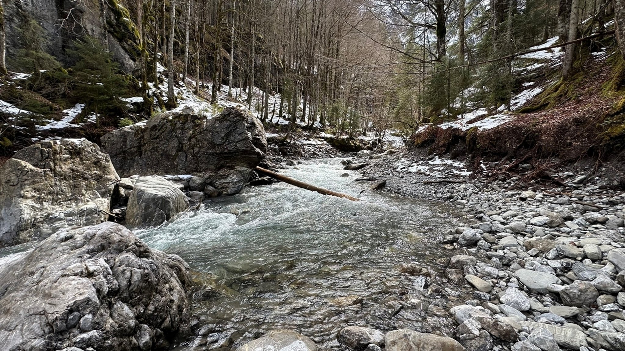 Wasserkraftwerk im Rappenalptal geplant: Naturschützer entsetzt