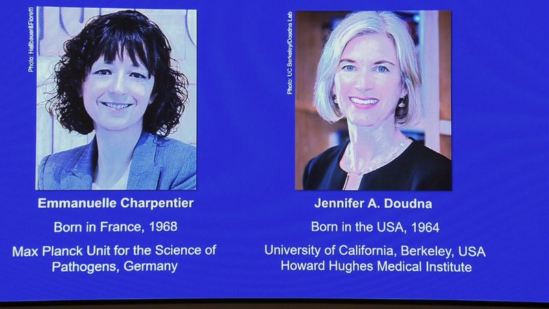  Am Vormittag wurden die diesjährigen Preisträgerinnen im Bereich Chemie bekannt gegeben. Die Auszeichnung geht an zwei Gen-Forscherinnen aus Frankreich und den USA.