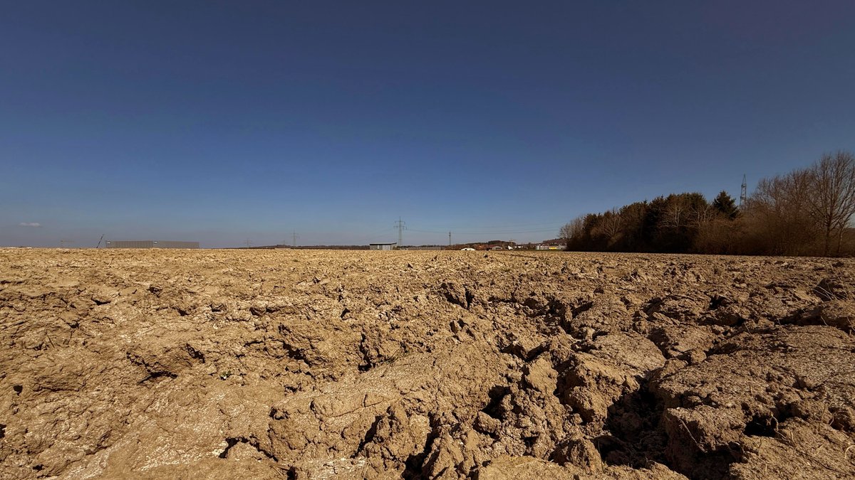 Deutscher Wetterdienst: Frühjahr 2025 war extrem trocken