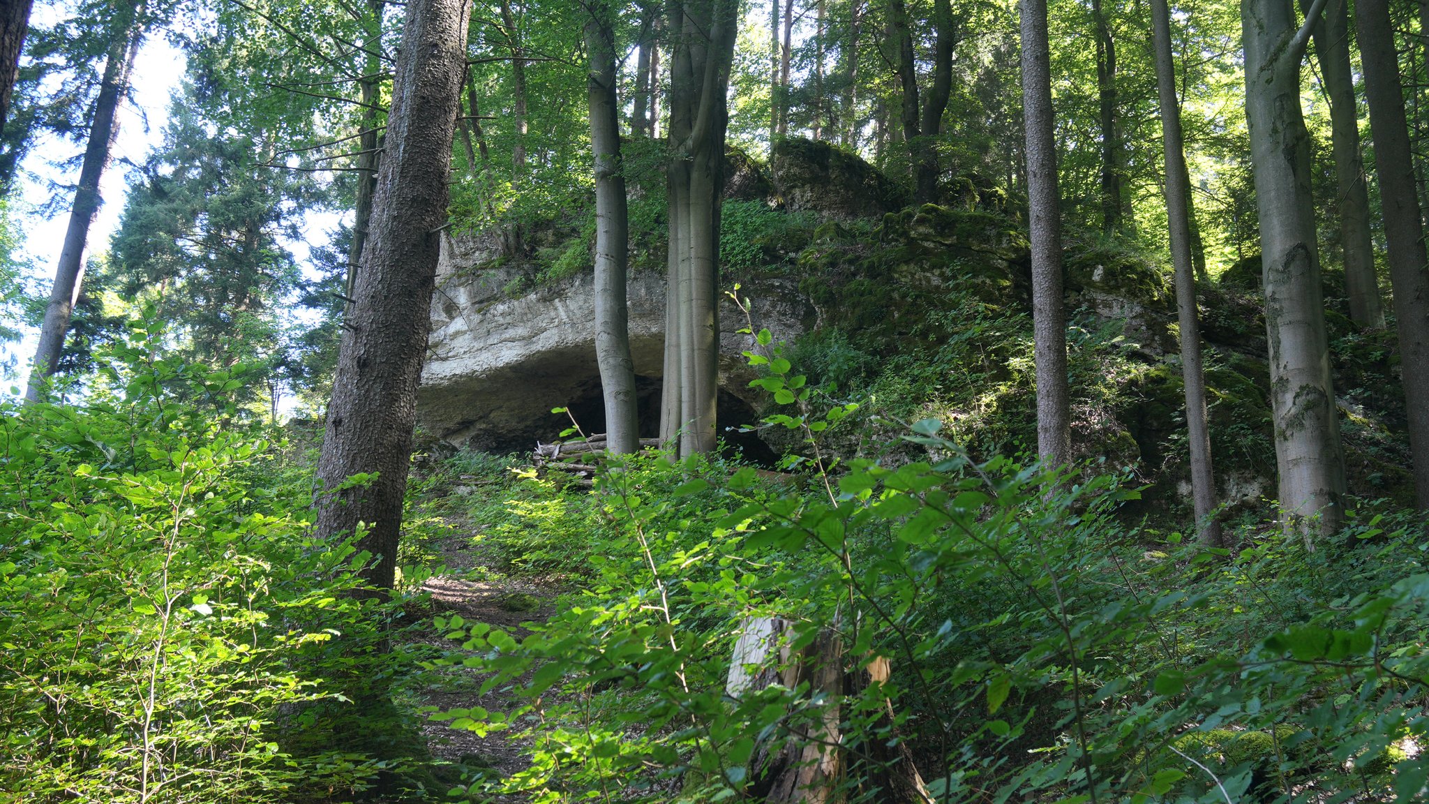 Das Appenloch im Ankatal. Grüne Blätter und Bäume stehen vor der Karsthöhle Appenloch.