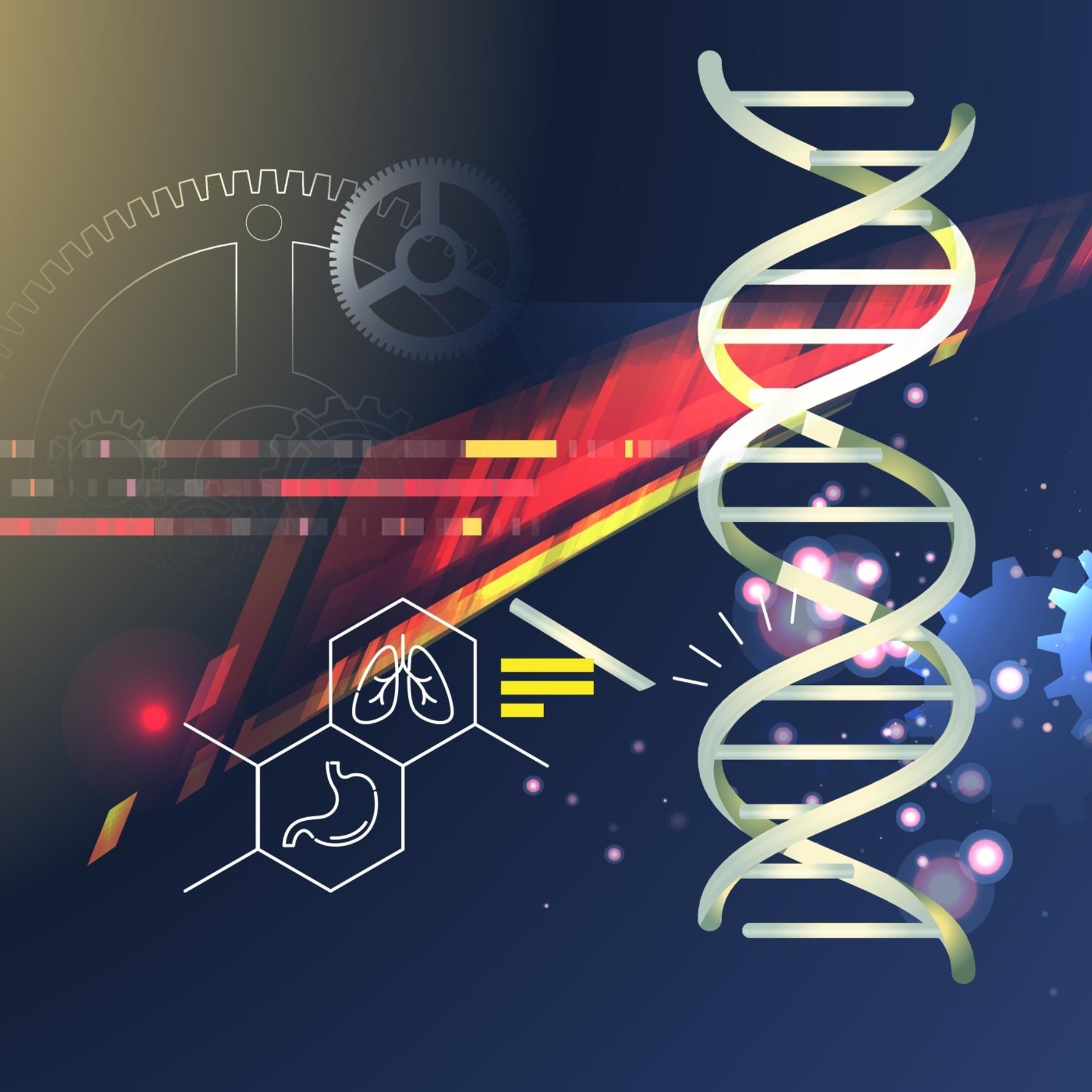 Maßgeschneiderte Therapien - Wenn Medizin personalisiert und präzise ist