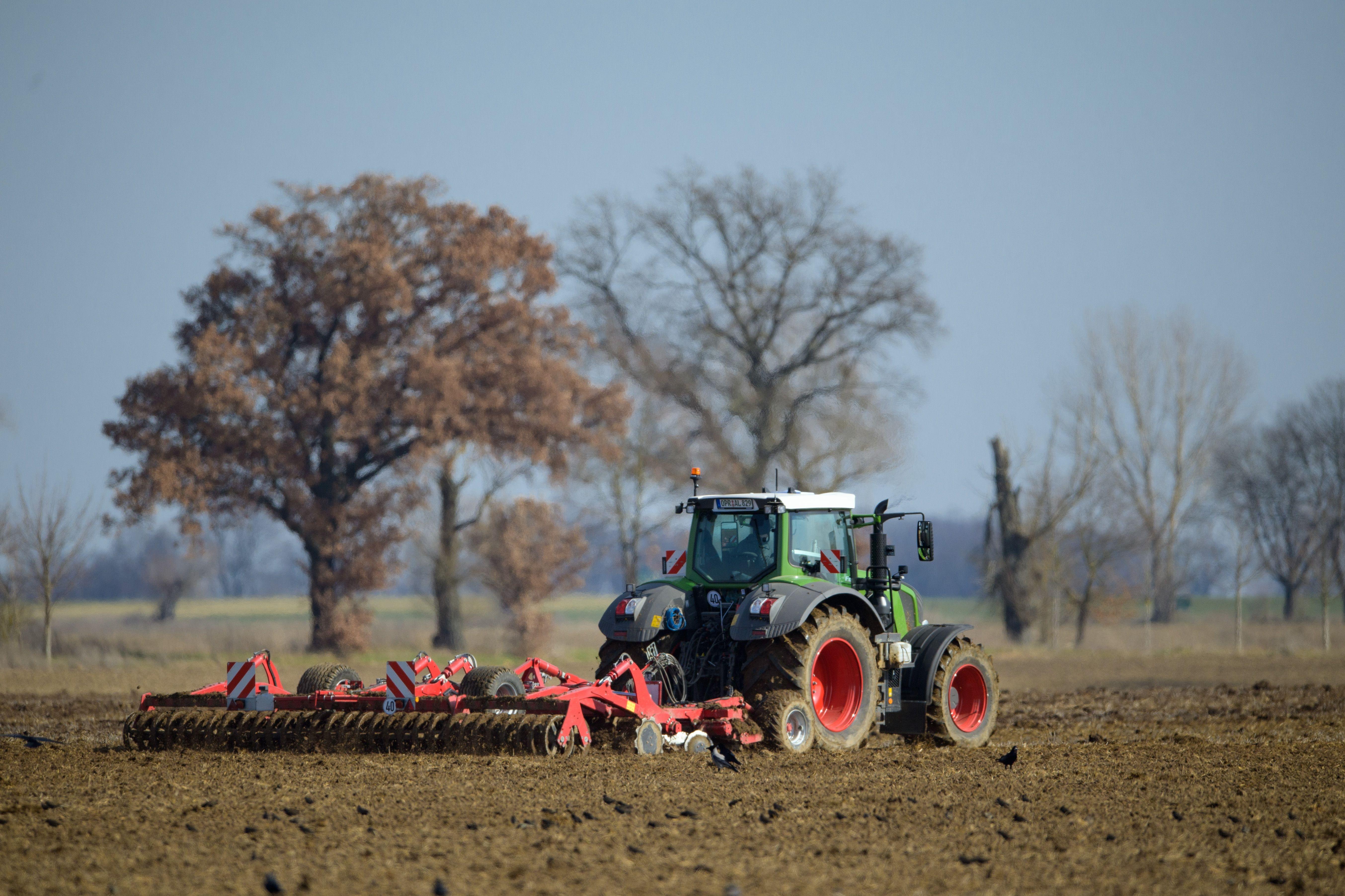 Ein Landwirt fährt mit seinem Traktor und angehängter Egge über ein Feld.