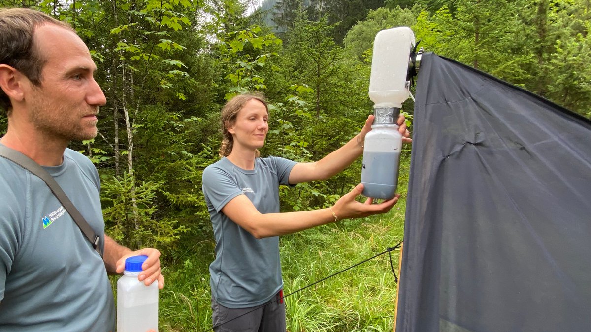 Der Leiter des Projekts Sebastian Seibold und Doktorantin Lisa Geres überprüfen die Insektenfallen