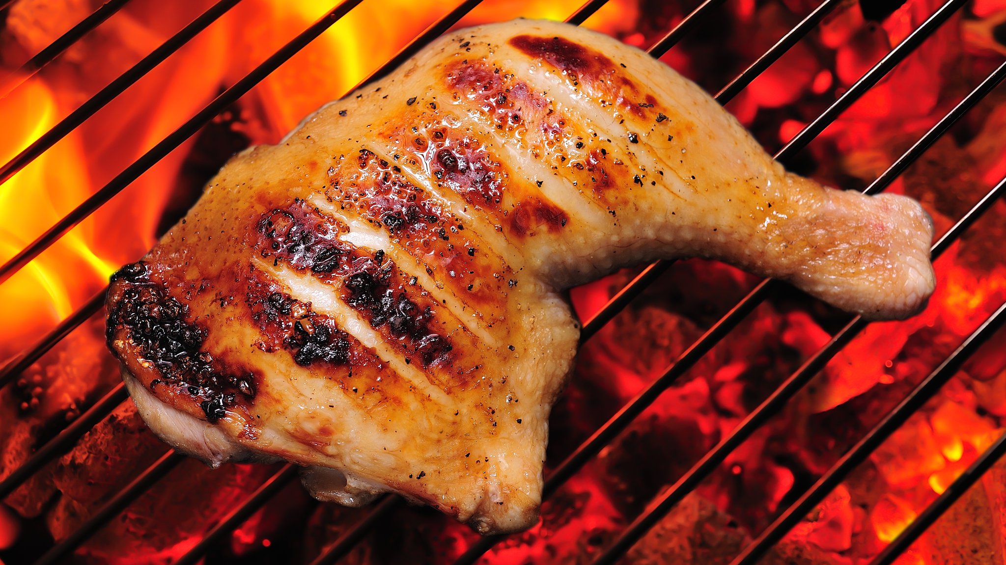 Gefahr beim Grillen: Krank durch Campylobacter oder Salmonellen