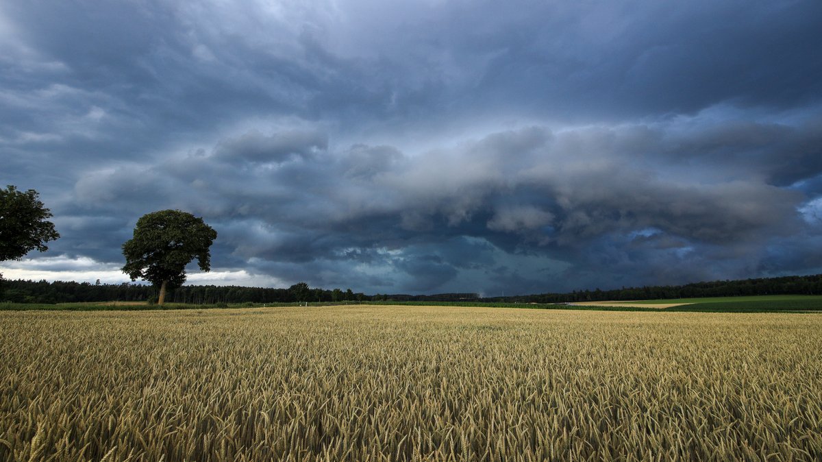 Eine Unwetterzelle baut sich auf.