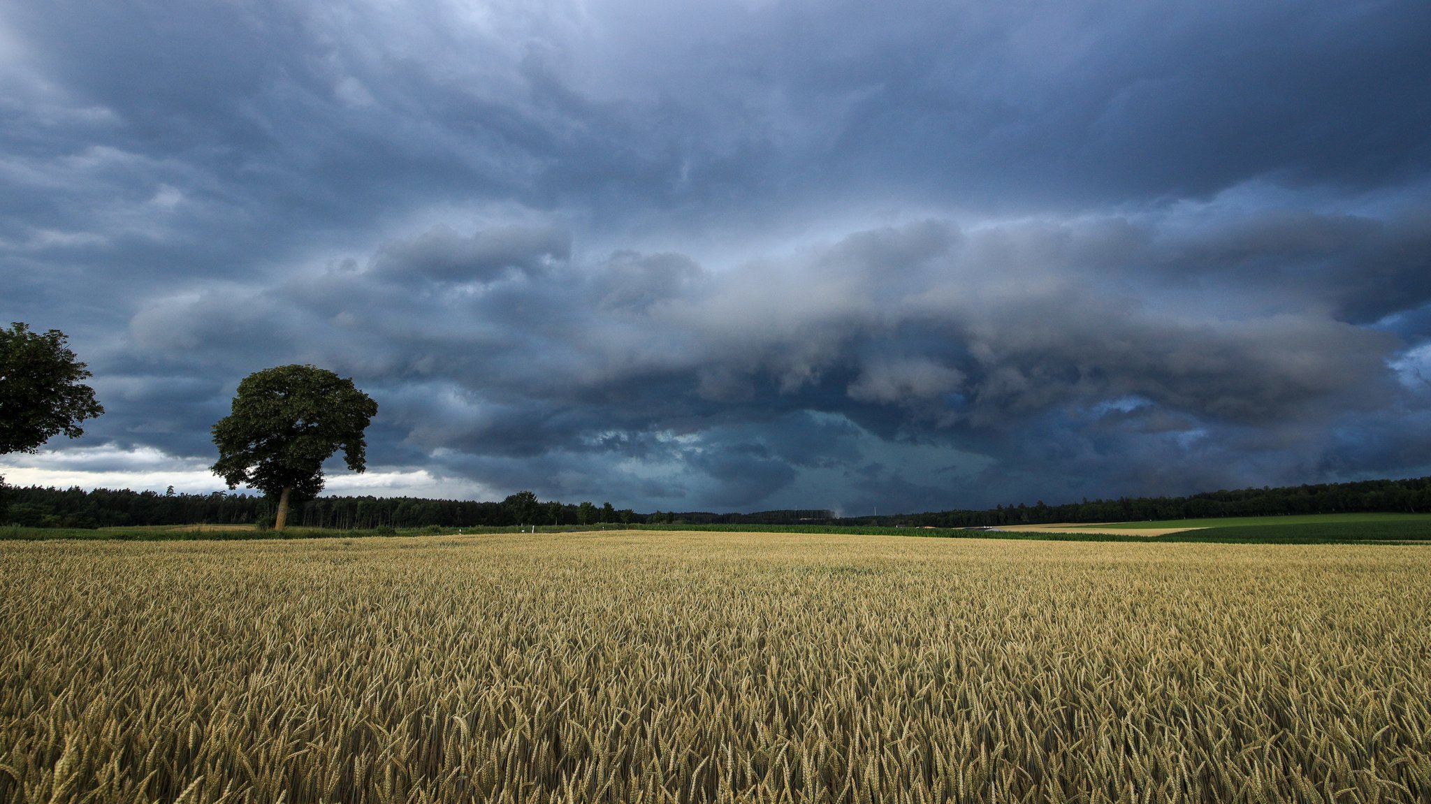 Eine Unwetterzelle baut sich auf.