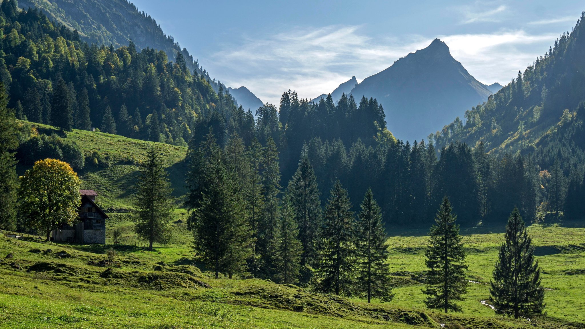 "Herbstliches Naturschauspiel" sorgt für Bärenalarm im Allgäu