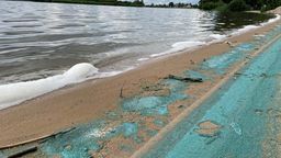 Blaualgen an einem See in Mittefranken (Symbolbild) | Bild:BR/Vera Held