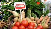Ein Korb mit Gemüse aus der Region und dem Schild: Regional ist 1. Wahl. | Bild:picture alliance/blickwinkel/McPHOTO/Bernd Leitner