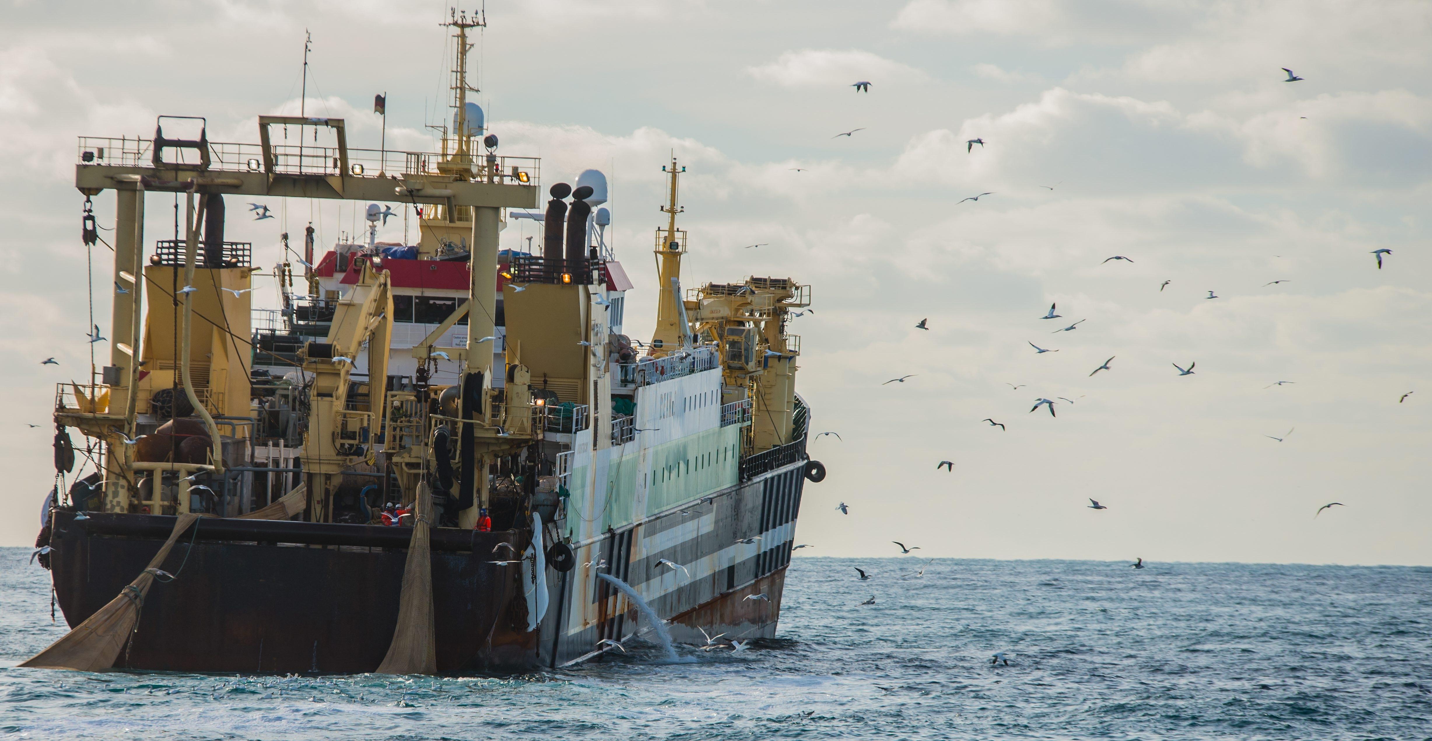 Fangschiff vor der britischen Küste