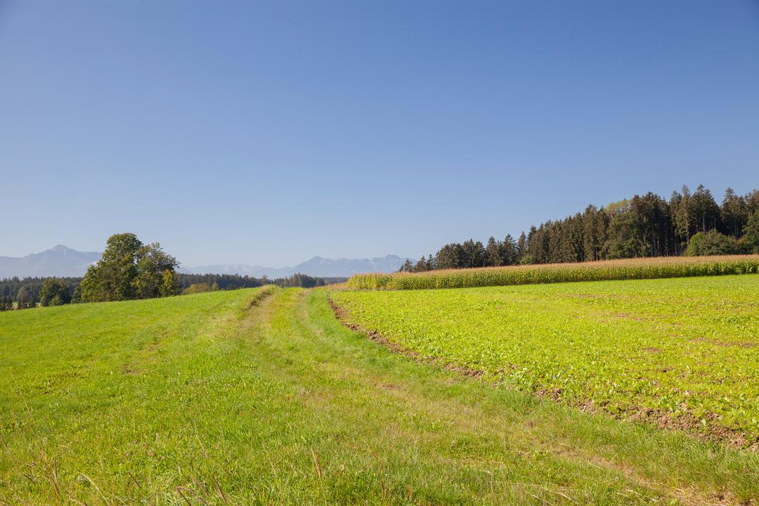 Auch in diesem Jahr wird die Stilllegung ausgesetzt.