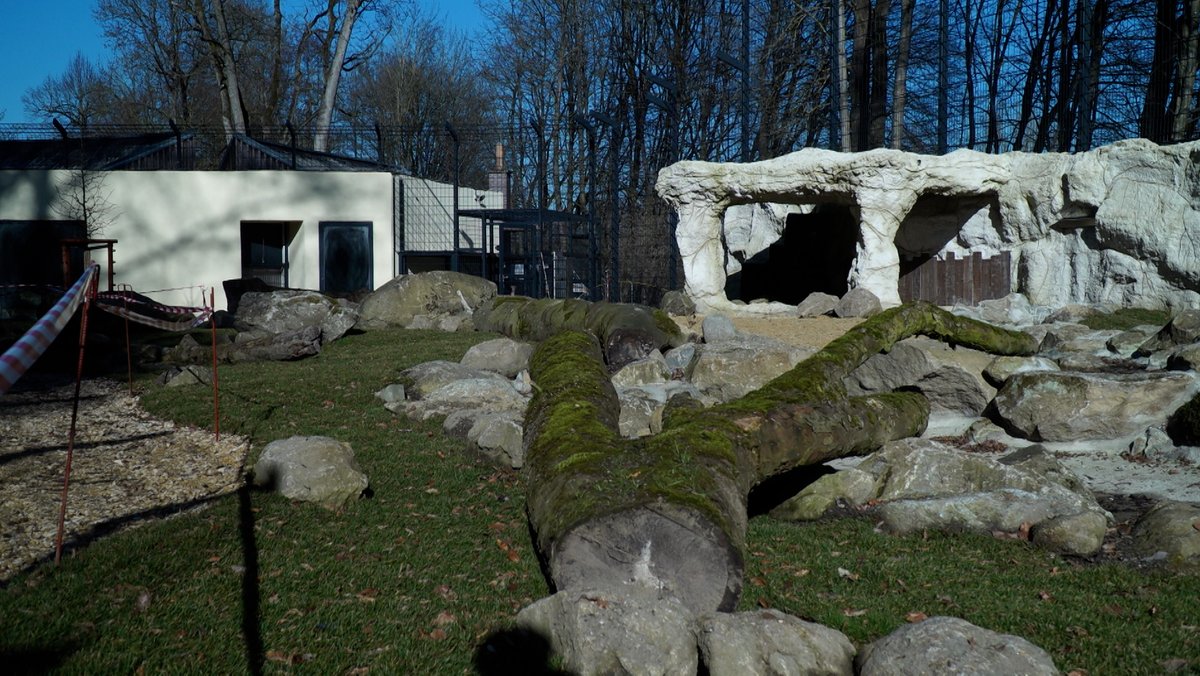 Das neue Außengehege für die beiden Löwen im Tiergarten Straubing