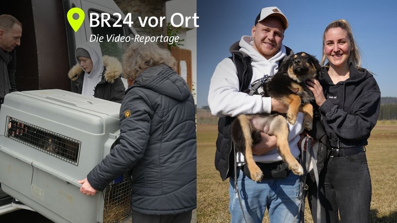 Eine Hundebox wird aus einem Wagen gehoben. Ein junges Paar mit einem Hund. | Bild: BR/Annalena Sippl Eine Hundebox wird aus einem Wagen gehoben. Ein junges Paar mit einem Hund.