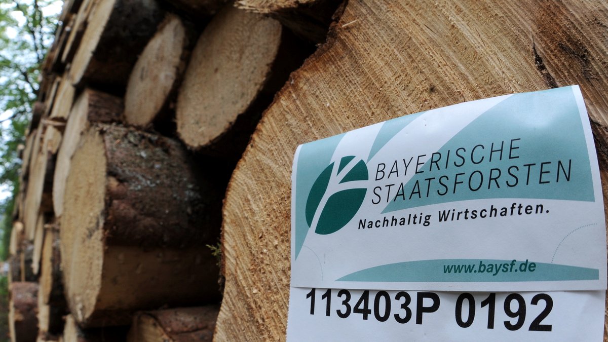 Schild "Bayerische Staatsforsten" an einem Baumstamm.
