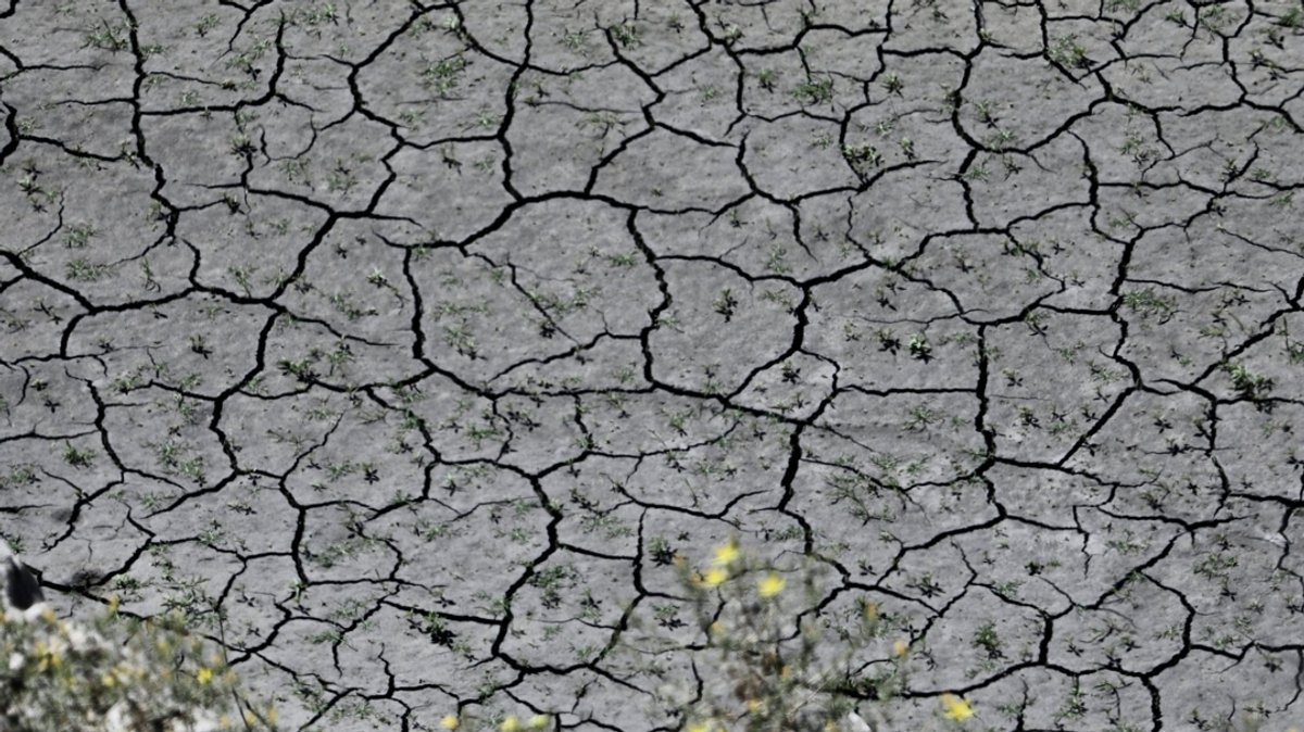 Extreme Trockenheit: Kalifornien stellt Bauern das Wasser ab