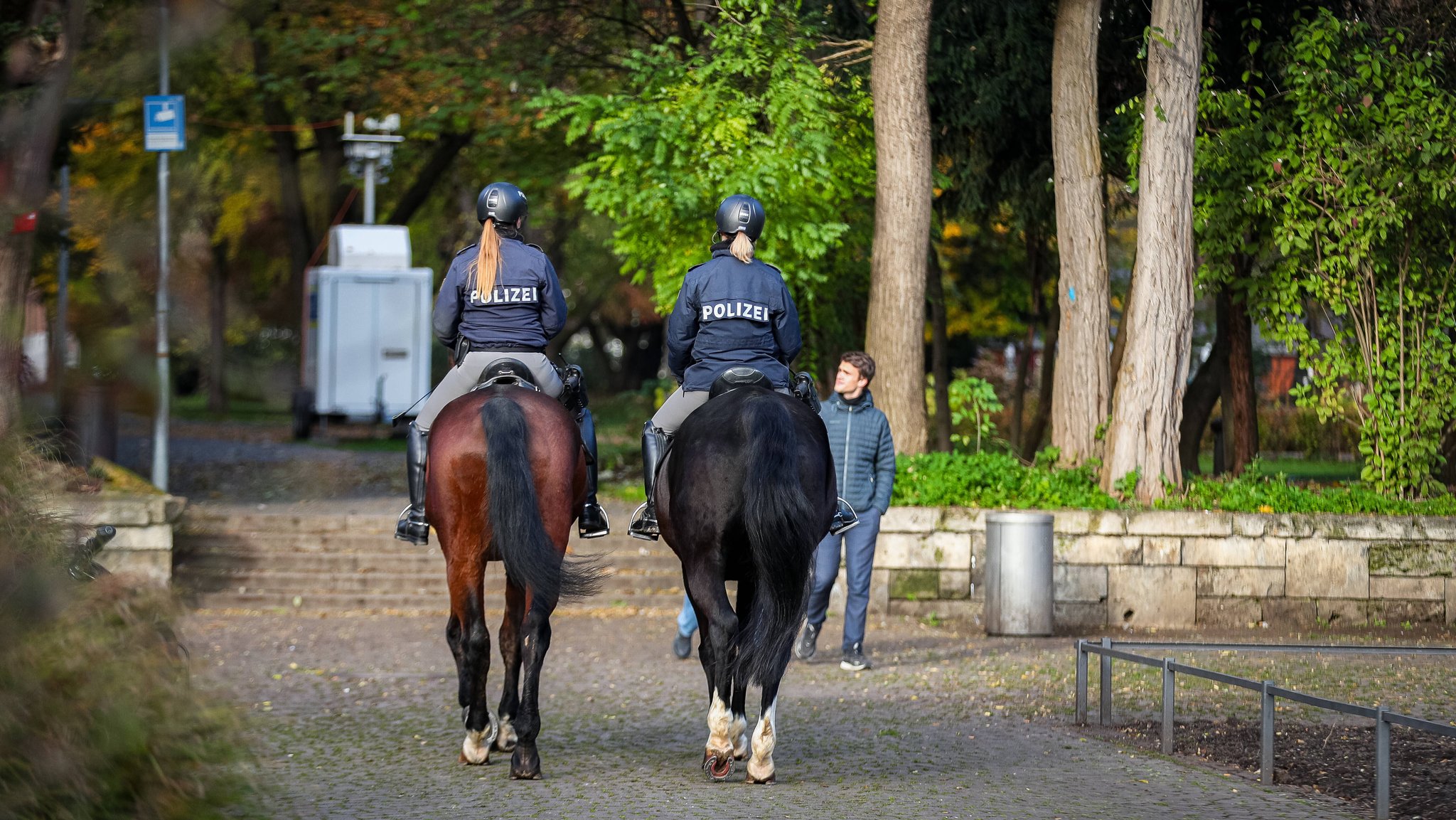 Polizeipferd galoppiert in Läufergruppe - Frau verletzt