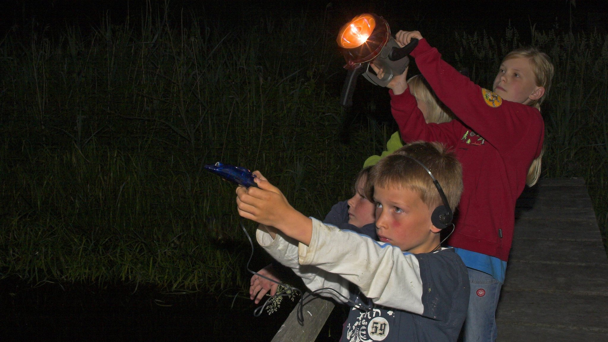 Fledermaus-Wanderung mit Taschenlampe und Bat-Detektor