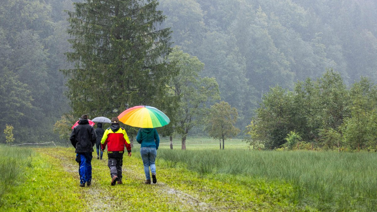 Wetterumschwung in Bayern: Es wird kühler – und örtlich nass