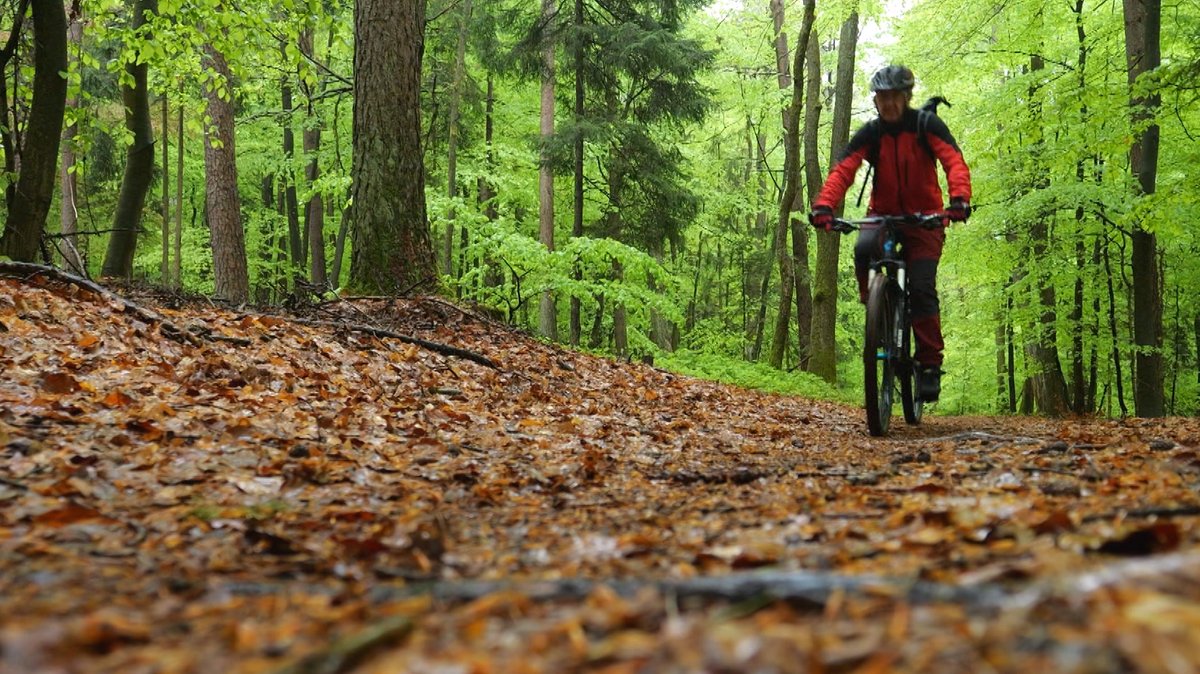 Kompromisse im Wald: Mountainbiken im Landkreis Bad Kissingen