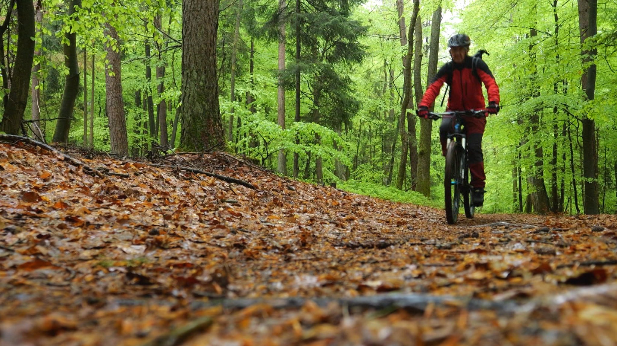 Ein Mountainbiker im Wald