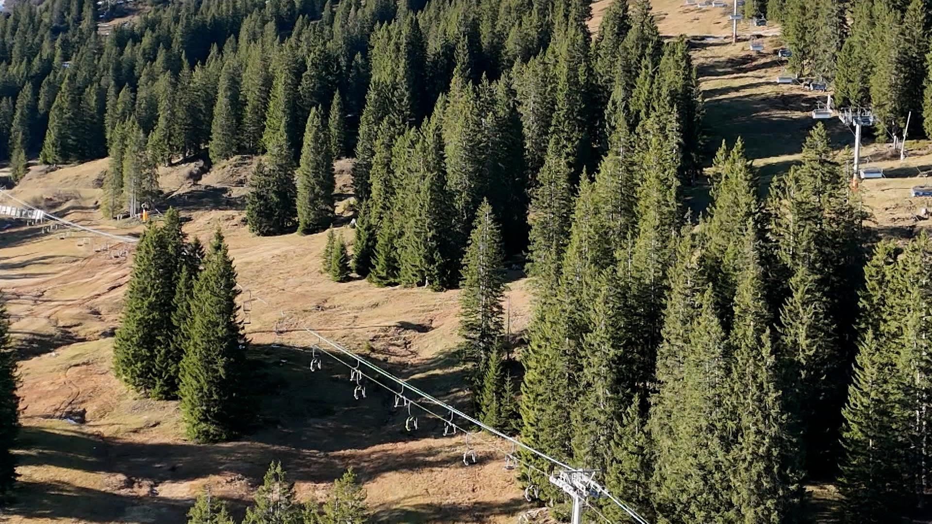 Zwei Sessellifte, die durch Wald und über braungrüne Pisten, gehen. Dazwischen Nadelbäume, Sonnenschein. 