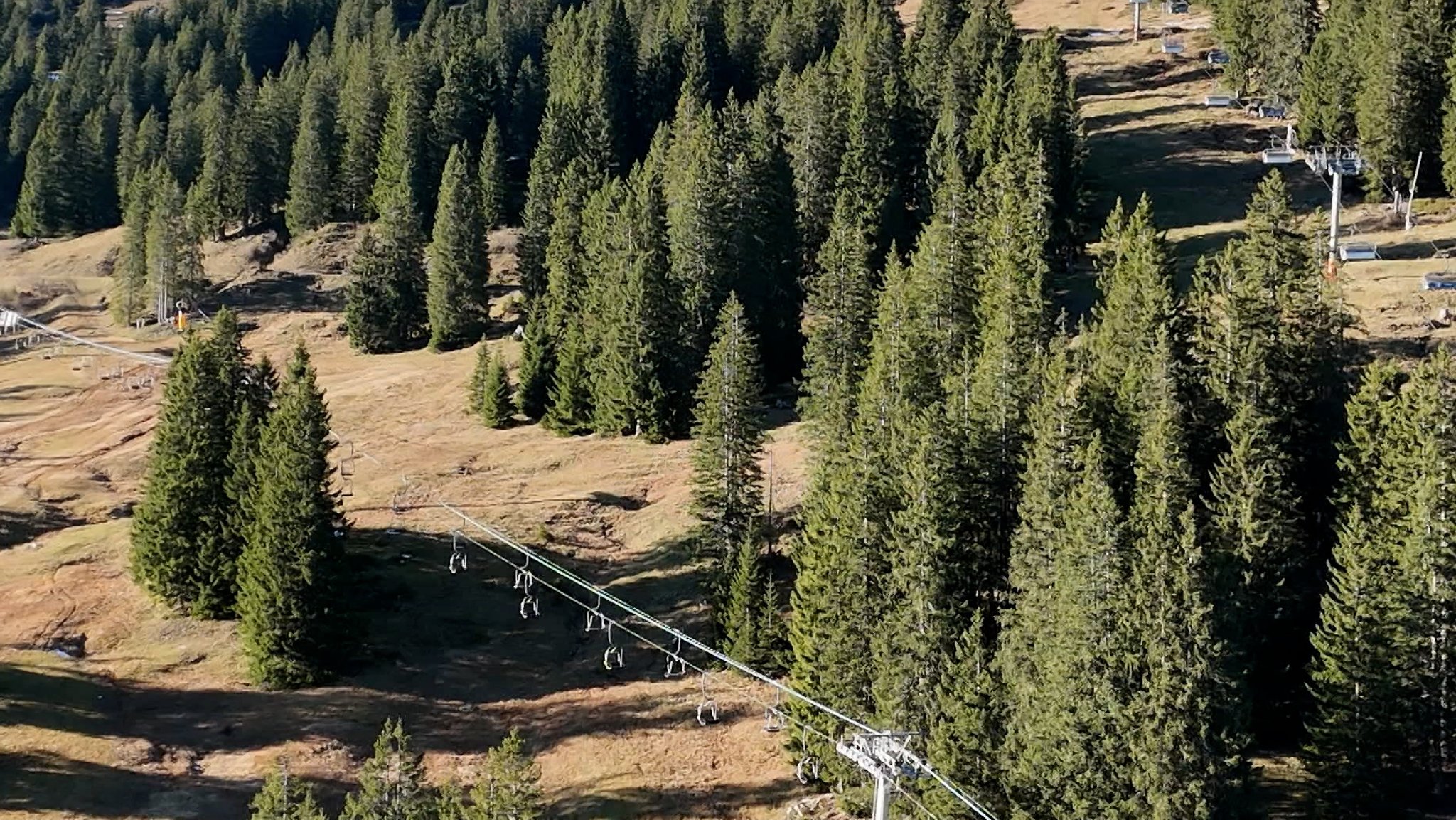 Zwei Sessellifte, die durch Wald und über braungrüne Pisten, gehen. Dazwischen Nadelbäume, Sonnenschein. 