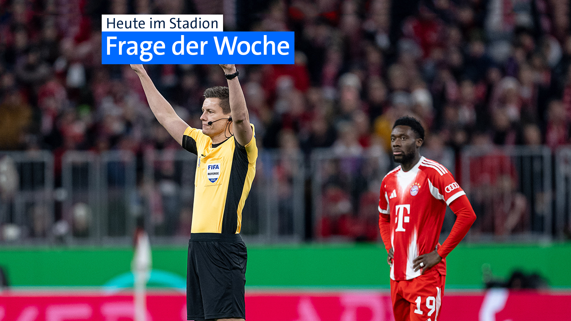 Daniel Siebert (Schiedsrichter) | Bild:Fotomontage / picture alliance / Eibner-Pressefoto | Heike Feiner