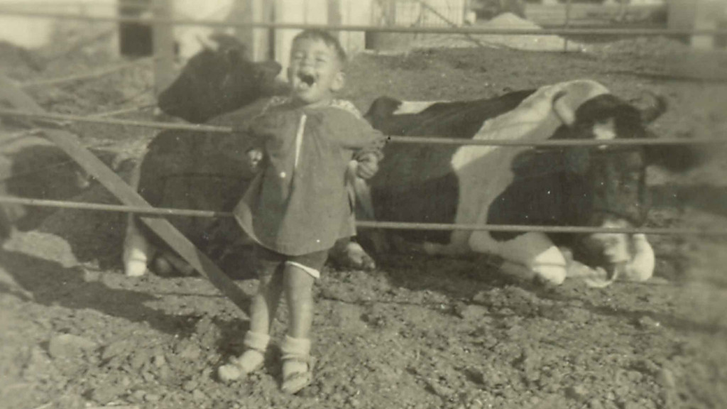 Schwarz-weiß Foto von Michael Strauss kurz nach der Einwanderung. Es steht lachend an einem Zaun vor zwei Kühen.