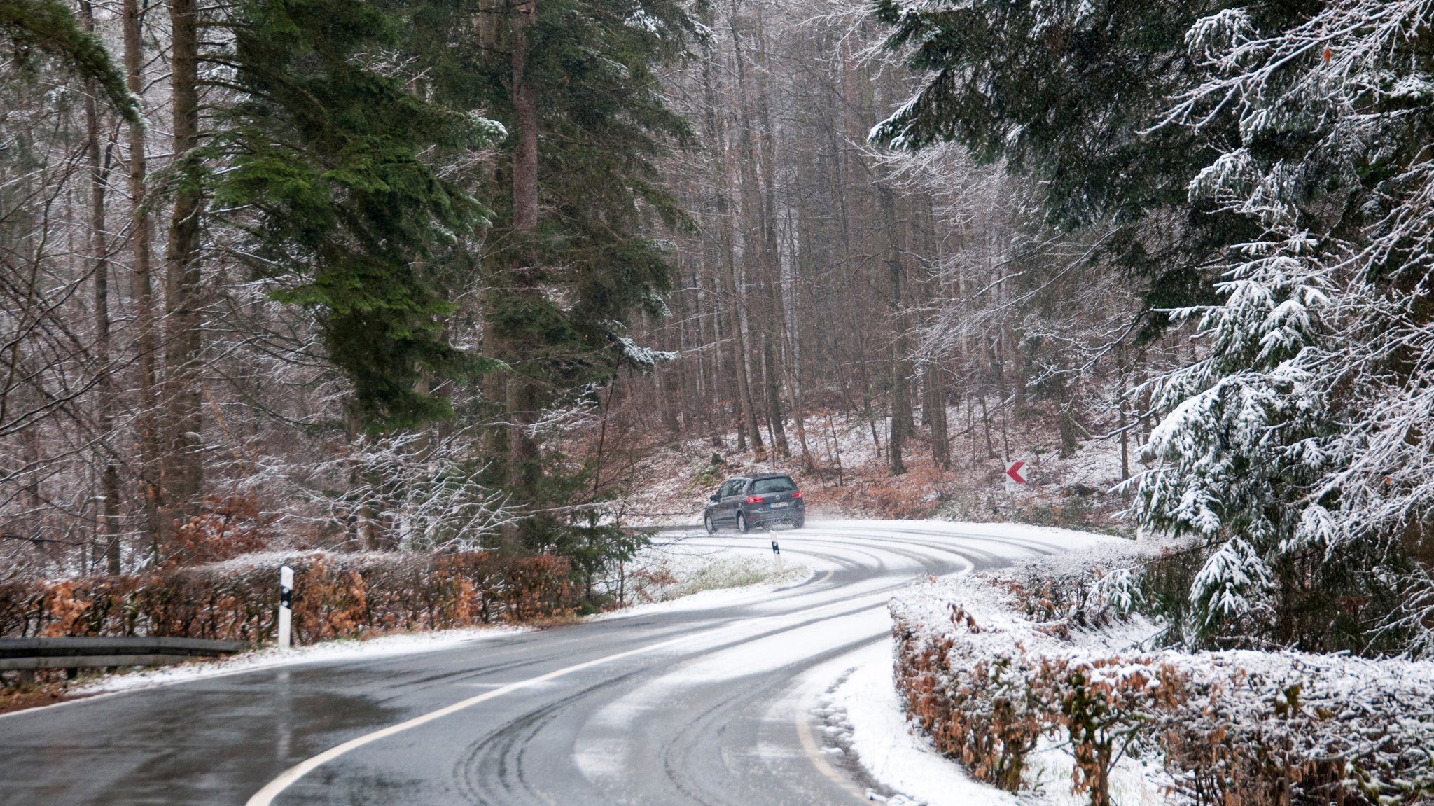 Es schneit, als ein Auto auf der Straße im Wald fährt.