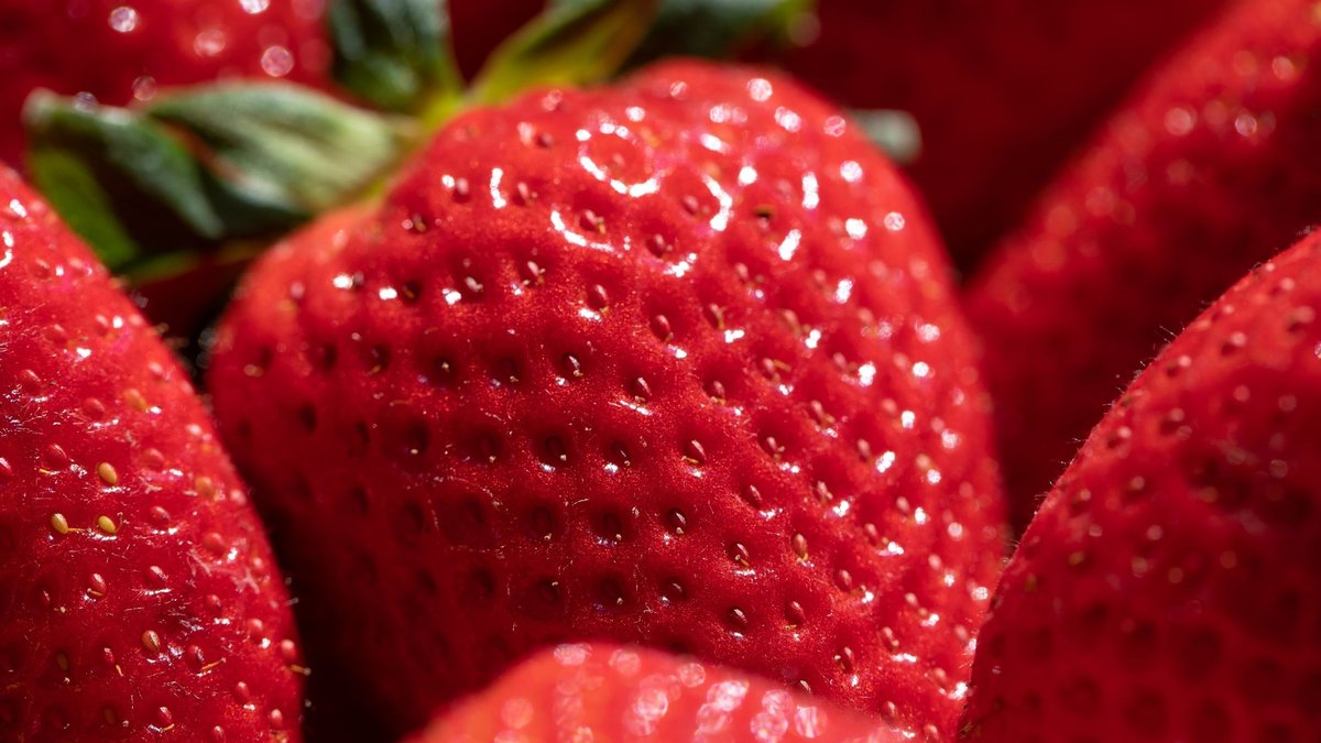 Die Top 3 Erdbeersorten für Bayern: Tipps zu der roten Frucht