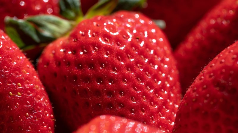 Erdbeeren in Nahaufnahme | Bild: BR/Markus Konvalin Erdbeeren in Nahaufnahme