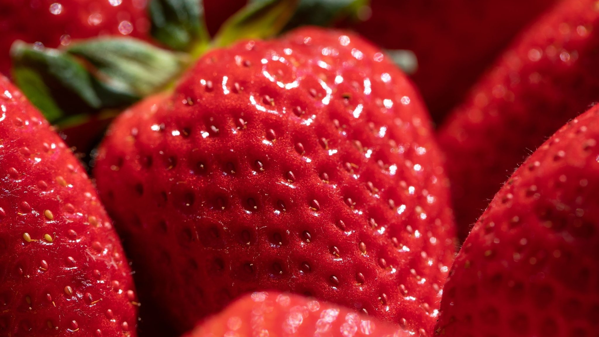 Erdbeeren in Nahaufnahme