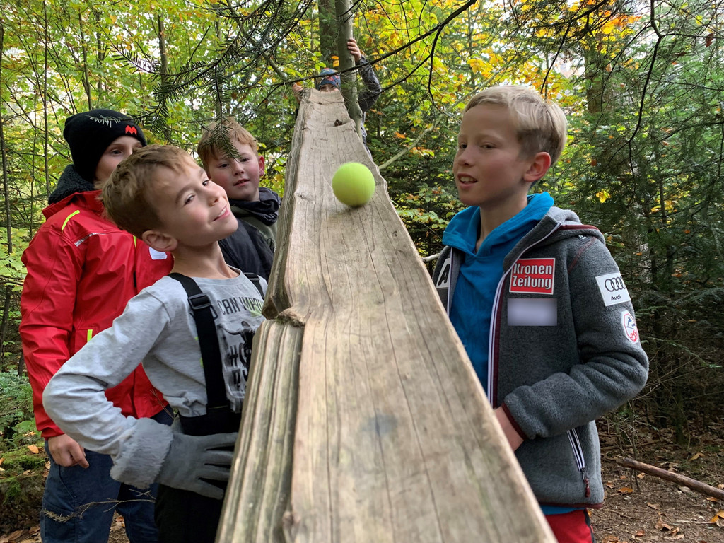 Die Kinder haben im Wald eine Kugelbahn aus Ästen, Wurzeln und Steinen gebaut.