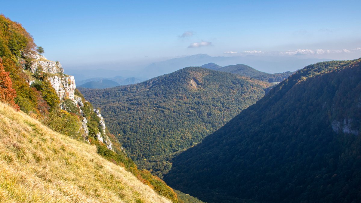 Hitzige Debatte über "Waldfamilie" in Italien